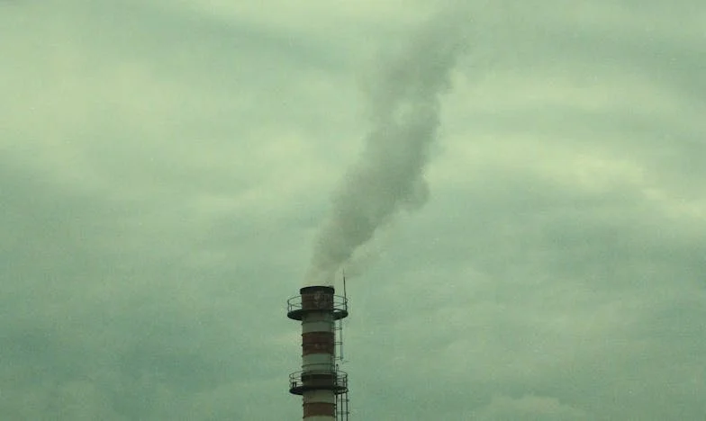 Quand la vérité a explosé à la noce : Le mariage qui a tout bouleversé dans ma famille