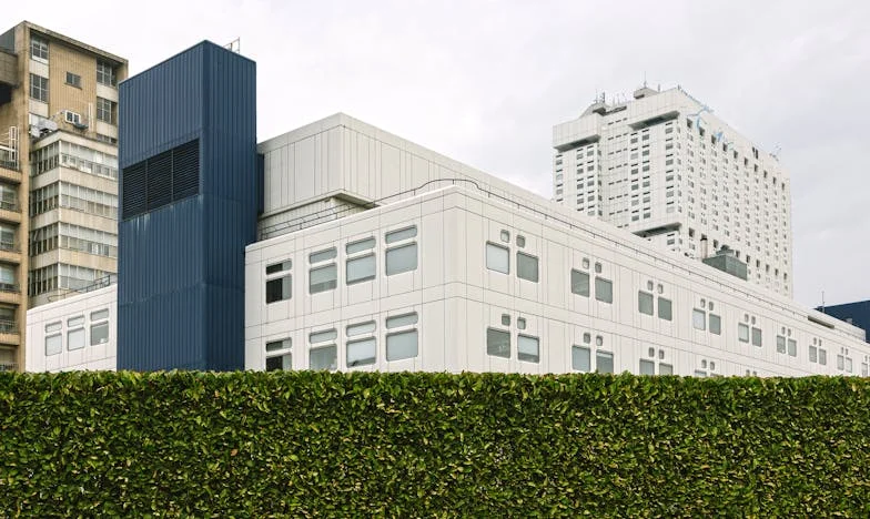 Tempête de Noël : Quand la famille se brise et que les ombres du passé ressurgissent