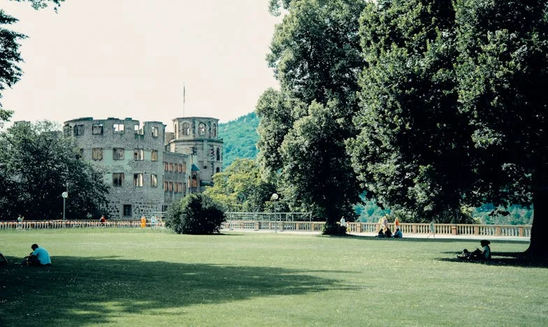 Quand mon fils revient : La maison qui nous divise