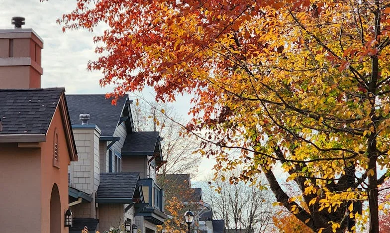 Quand ton cœur se brise en mille morceaux : L’histoire de la perte de mon petit Éloi