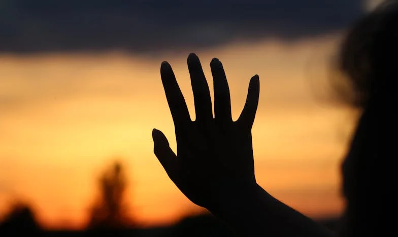 Entre la Sangre y el Orgullo: Mi Lugar en la Familia