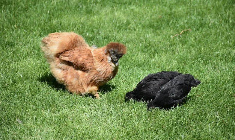 Когато баща ти стане твоят най-строг учител: Историята на едно пропуснато детство