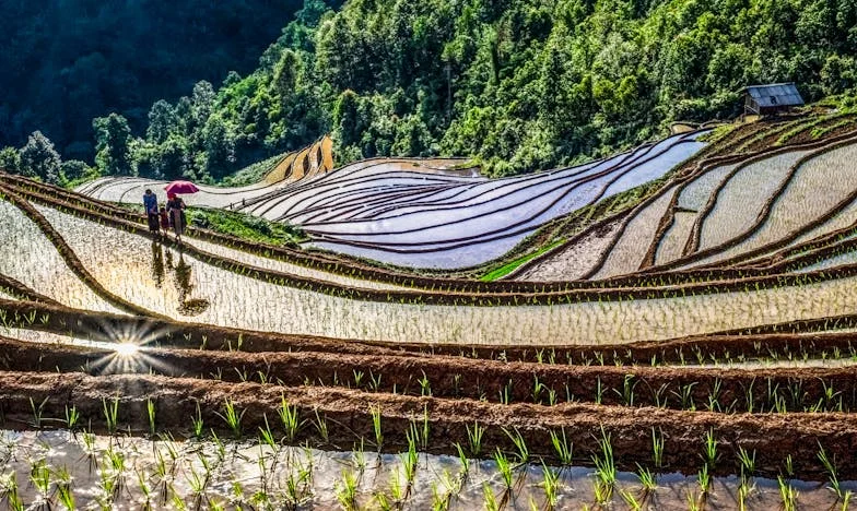 Майка срещу бурята: Когато трудностите не спират децата ми, а ги правят по-силни