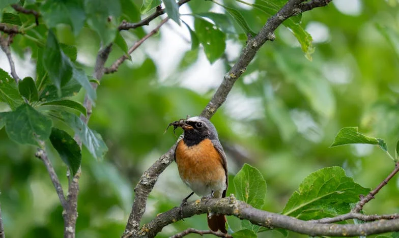 Между чука и наковалнята: Историята на една снаха и нейната свекърва