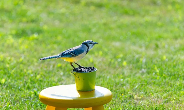 Непростимото предателство: Историята на Лилия и нейният път към свободата