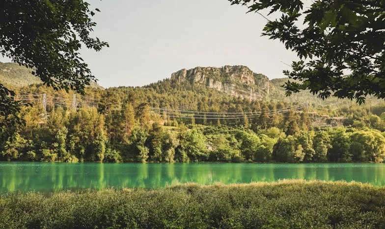 Сълзите на баба и сватбата на сестра ми: Между дълга и любовта