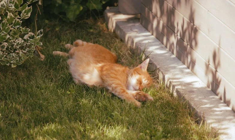 „Тя се разбираше с майка ми, а ти защо не можеш?“ – Историята на една българска снаха