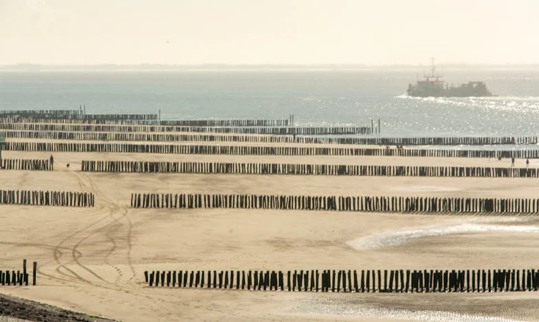 Чуждият диван: Когато домът се превърне в бойно поле