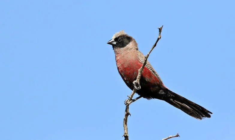Децата ми от първия брак не ми позволяват да те взема: Историята на една разбита любов