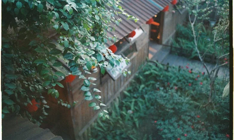 Денят, в който разбрах истинското лице на свекърва си след катастрофата