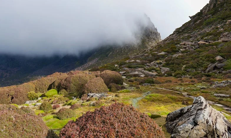 Достатъчно! Свекървата ми разрушава брака ми с критиките си