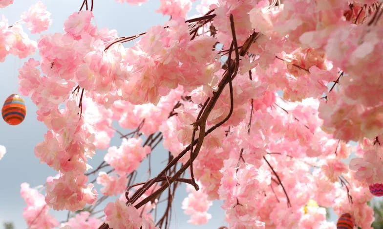 Два пъти омъжена, но никога щастлива: Историята на една българка, която търсеше приказката