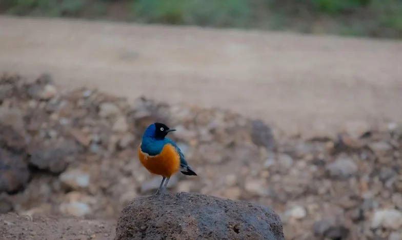 Две години след сватбата: Дъщерята на мъжа ми и нашият малък апартамент – кога любовта се превръща в жертва?