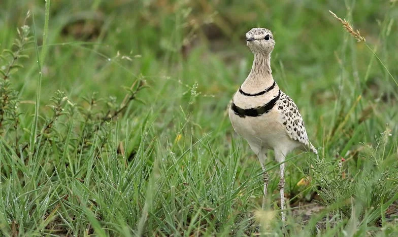 Две години тишина: Историята на една майка и нейната дъщеря