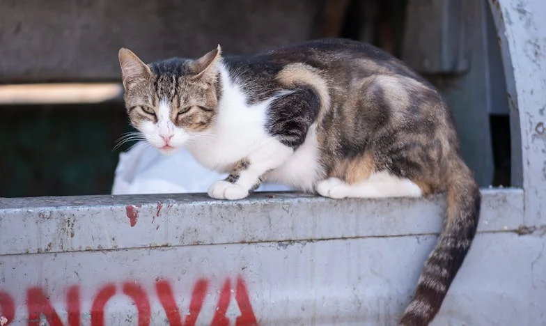 Инцидентът, който ме научи да казвам твърдо „Не“: Роднините ни не ни оставиха да се насладим на живота край морето