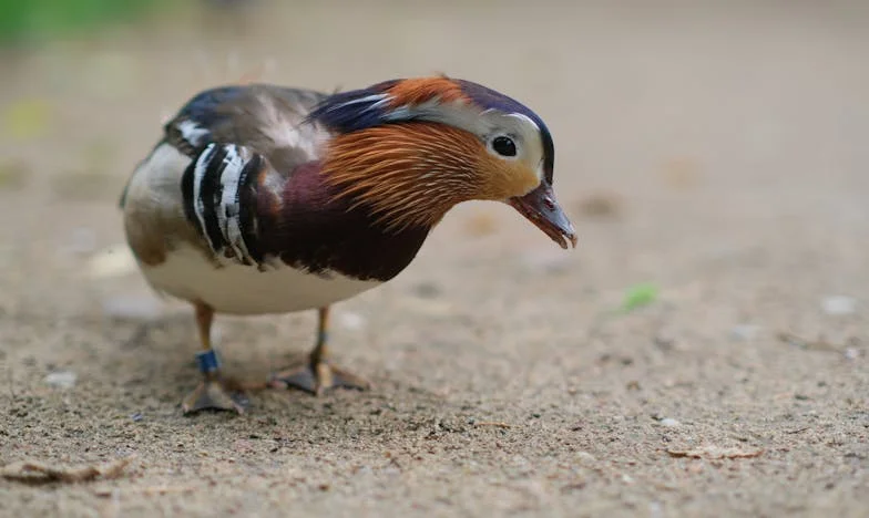 Как да кажа на снаха си, че вече е майка, а не тийнейджърка