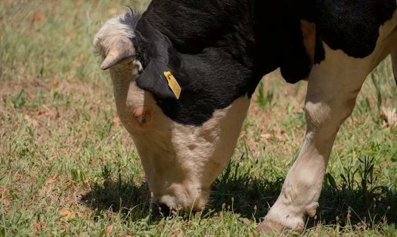 Как избягах от сянката на свекърва си: Историята на една българска снаха