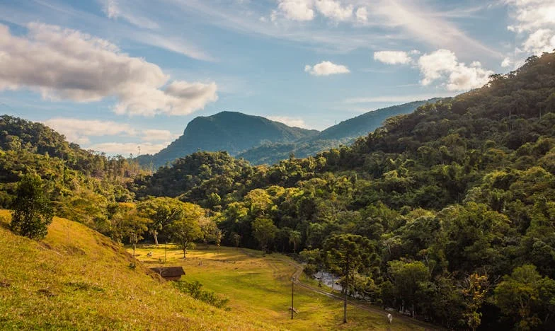 Как отгледах дъщеря, която обвинява всички, освен себе си: Изповедта на една майка