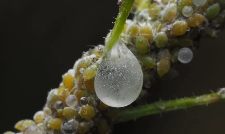 Когато домът ти вече не е дом: Историята на една майка, останала без място