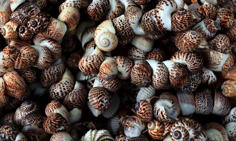 Когато домът вече не е дом: История за предателство, завръщане и прошка