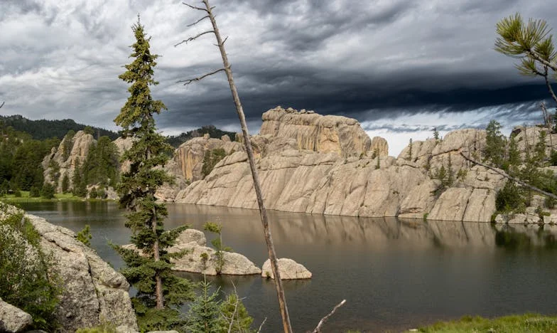 Когато изгоних сина си и снаха си от дома – и най-накрая се почувствах свободна
