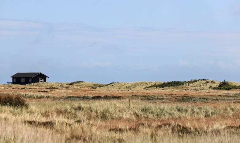 Когато кръвта предаде: Историята на една наивност