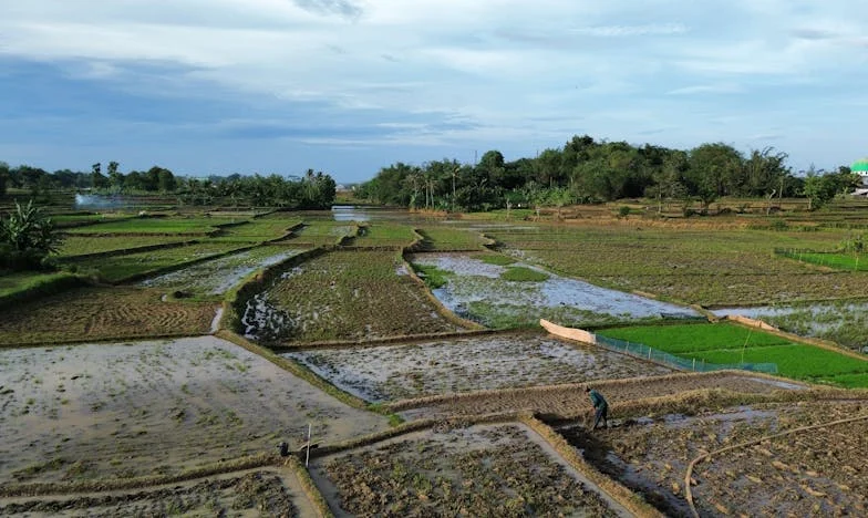 Когато приятелството се сблъска с истинския живот: Историята на две жени под един покрив