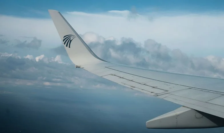 Когато се омъжиш за маминото момче: Истината, която никой не искаше да чуе