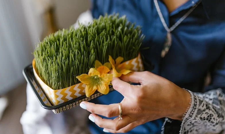 Когато свекърва ми реши да „оправи“ мъжа ми: История за границите, семейството и старите дънки