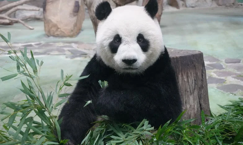 Когато свекървата стане център на бурята: Историята на една българска жена