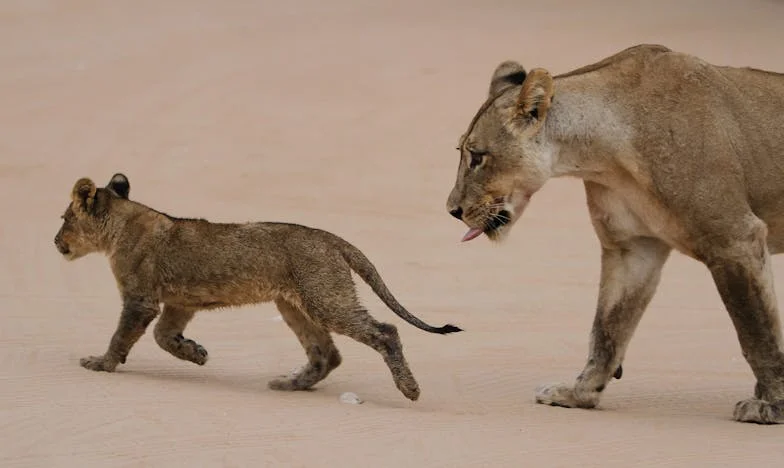 Когато зетят поиска половината дом на дъщеря ми: История за предателство и семейни рани