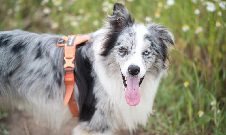 Коледни сенки: Историята на една майка между две деца и едно общество
