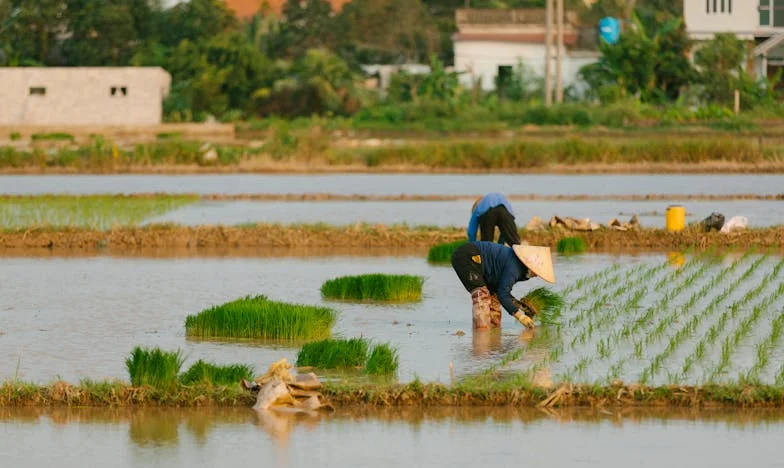 Краят, който не очаквах: История за предателство и прошка