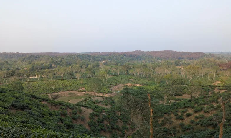 Майка ми обеща къщата след сватбата, а после разби всичко на парчета