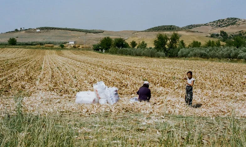 Мълчаливите обичания: История за неизказаната любов на една българска майка