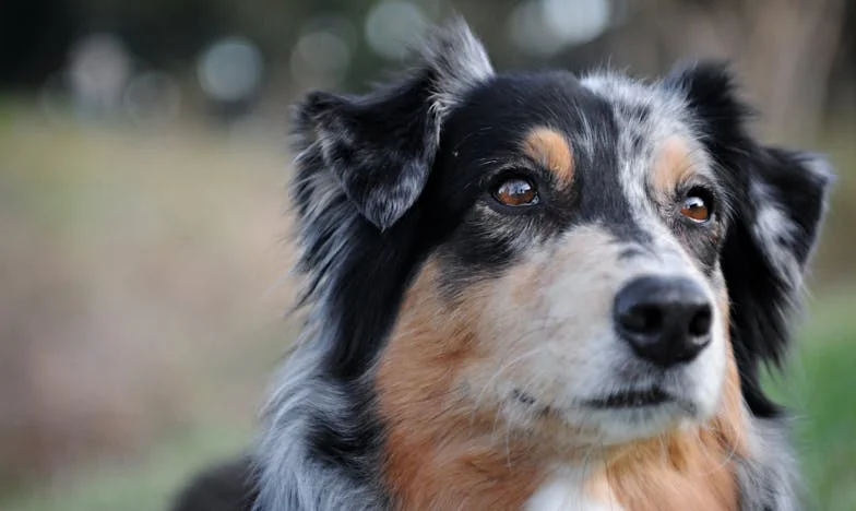 Мълчанието на брат ми: Как бракът му разрушава нашето семейство