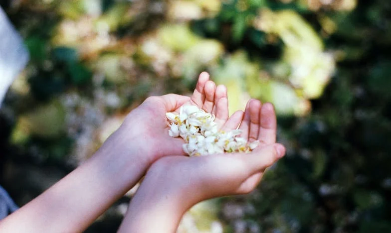 Мамо, нека продадем къщата – една история за дом, семейство и предателство