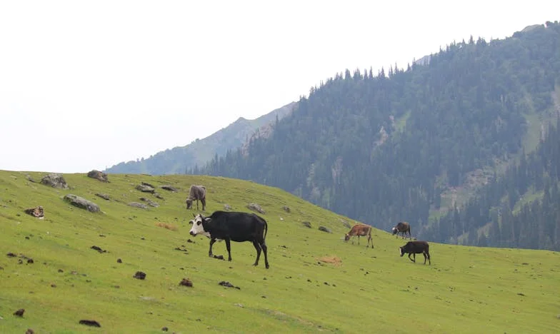 Мъжете в живота ми: Пътища, които не избрах