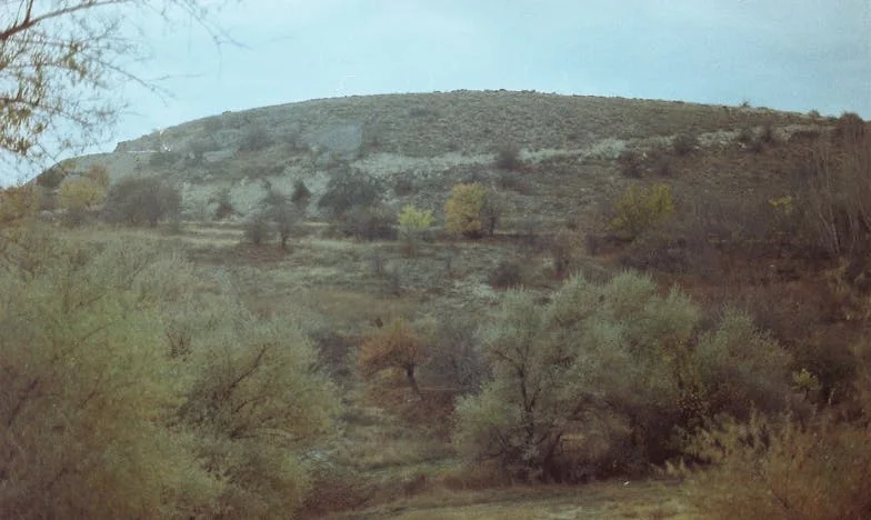 Между любовта и границите: Майчина намеса или грижа?