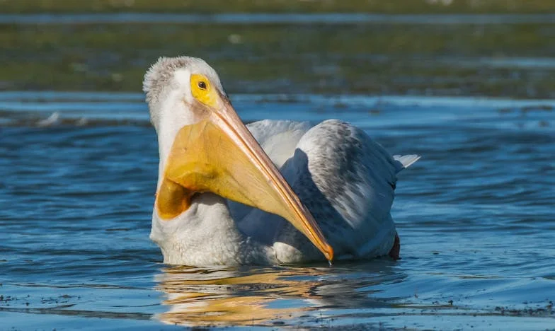 Мир в претъпкан дом: Молитва между стените на панелката