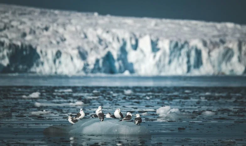 Наследството на баба: Години грижа за нищо?
