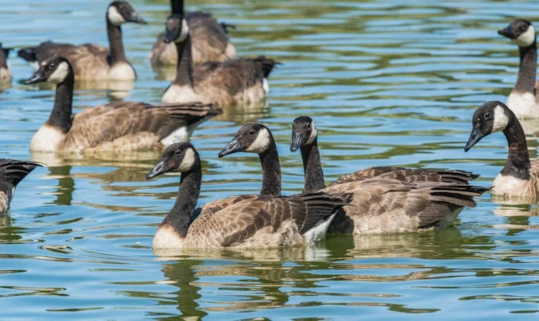 Наследството на мама: Когато парите разделят семейството