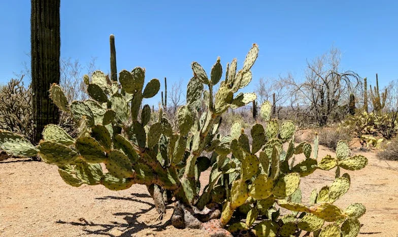„Не съм ти подарил апартамента, само ти позволих да живееш там“: История за дом, доверие и семейни рани