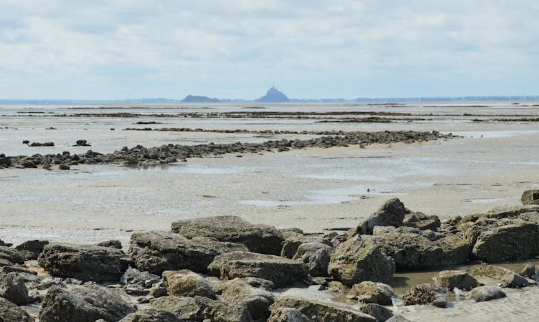 Неделна закуска с горчив вкус: Историята на една българска снаха