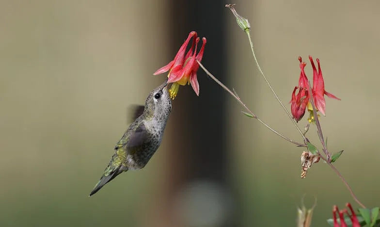 От обида към прошка: Защо избрах да помогна на свекърва си