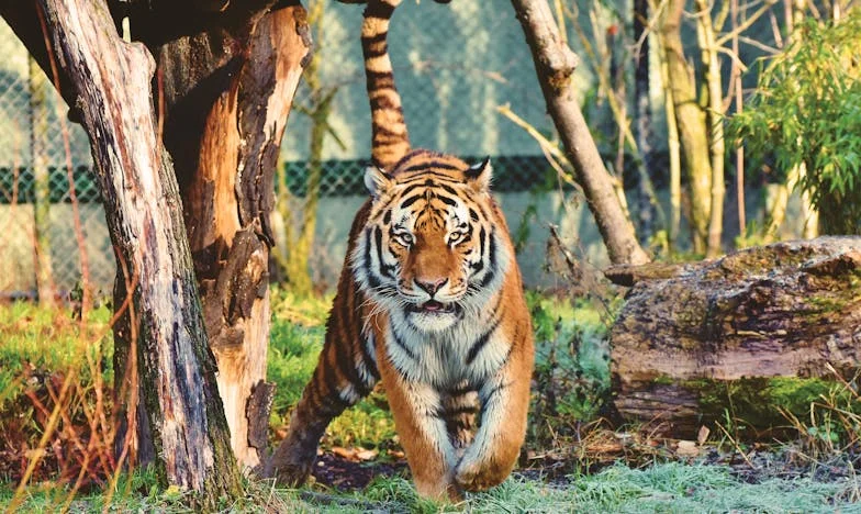 Открих, че мъжът, когото обичам, е женен: Моята история за предателство и отмъщение