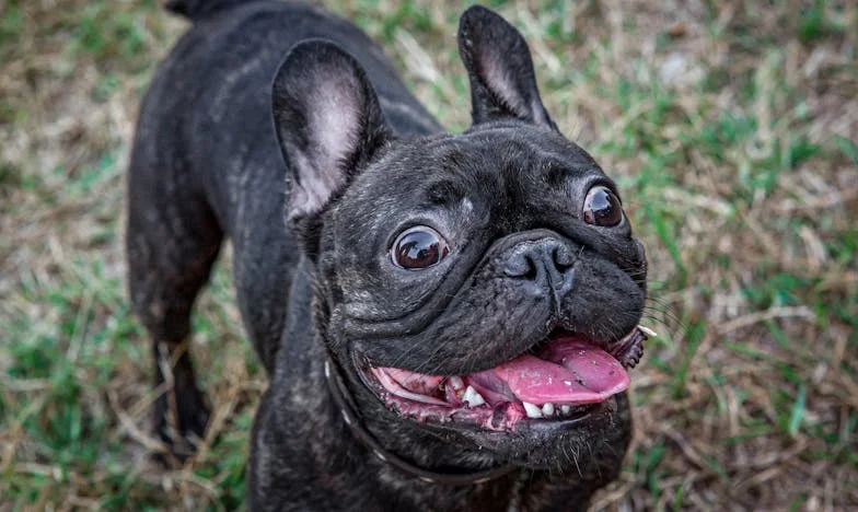 Пътят на Виктория: Истината зад семейните тайни