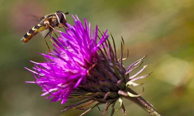 Писмо до децата ми: Мога ли да върна времето назад?