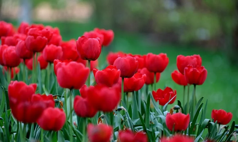 Писмо до любовницата на моя съпруг – Пет години по-късно: Сега си просто лош спомен