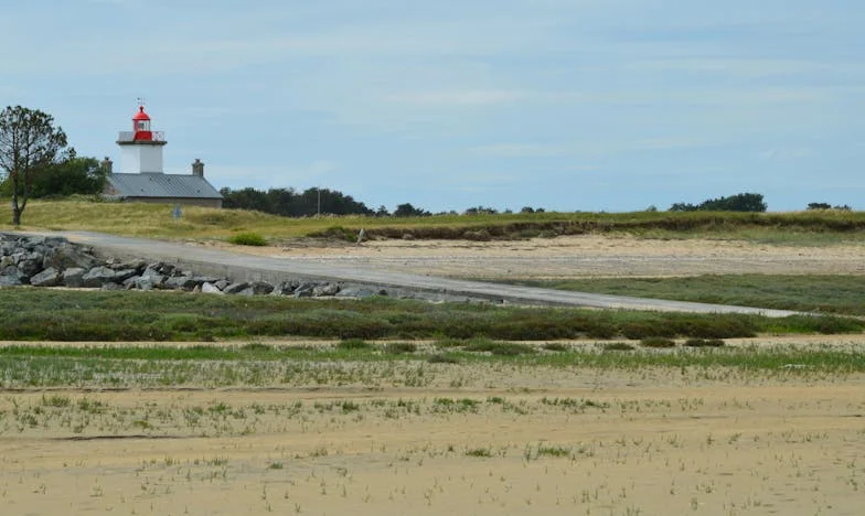 „Подпиши всичко на мен!“ – История за предателството, битката за дом и дъщеря, и семейния шантаж